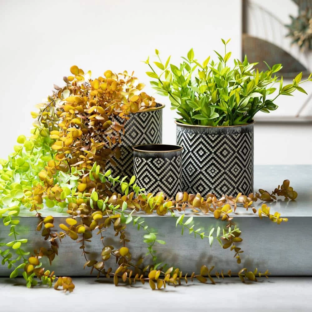 Vigoro sales Store -VIGORO Sales black and white patterned sullivans plant pots met1828 44 1000