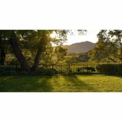 Vigoro Westbrook 36 in. x 48 in. Black Steel Fence Panel (4-Pack) 27 Vigoro Westbrook 36 in. x 48 in. Black Steel Fence Panel (4-Pack) -VIGORO Sales black vigoro garden fencing 860329 4pk fa 1000