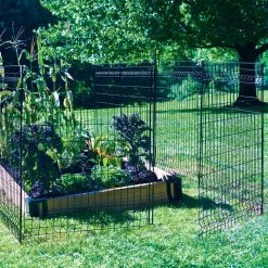 Vigoro 44 in. H x 36 in. W Steel Multi-Purpose No Dig Black Fence Panel 29 Vigoro 44 in. H x 36 in. W Steel Multi-Purpose No Dig Black Fence Panel -VIGORO Sales black vigoro garden fencing 860411 31 1000