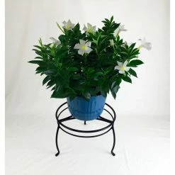 Vigoro 8 in. Black Metal Indoor Plant Stand -VIGORO Sales black vigoro plant stands 51470 c3 1000