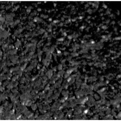 Vigoro EcoBorder 4 ft. Black Rubber Landscape Edging (48-Count/Pallet) -VIGORO Sales black vigoro rubber edging ecobrd bl 48 1f 1000