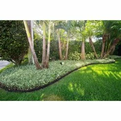 Vigoro EcoBorder 4 ft. Black Rubber Landscape Edging (6-Pack) -VIGORO Sales black vigoro rubber edging ecobrd blk 6pk 44 1000