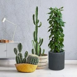 KANTE 15.8 in. x 12.9 in. and 9.8 in. W Round Charcoal Concrete/Fiberglass Indoor Outdoor Elegant Planters -VIGORO Sales charcoal kante plant pots osc0119abc c60121 1f 1000
