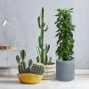 KANTE 15.8 in. W Round Charcoal Concrete/Fiberglass Indoor Outdoor Elegant Planter -VIGORO Sales charcoal kante plant pots osc0119c c60121 64 1000
