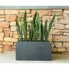 KANTE 23 in. L Rectangular Charcoal Concrete/Fiberglass Indoor Outdoor Elegant Planter -VIGORO Sales charcoal kante plant pots osf0104a c60121 64 1000