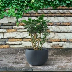 KANTE 8 in. H Charcoal Concrete and Fiberglass Round Bowl Planter, Outdoor Indoor Large Planters Pots with Drainage -VIGORO Sales charcoal kante plant pots rc0049a c60121 1f 1000
