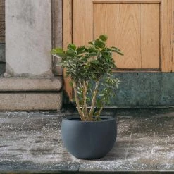 KANTE 8 in. H Charcoal Concrete and Fiberglass Round Bowl Planter, Outdoor Indoor Large Planters Pots with Drainage -VIGORO Sales charcoal kante plant pots rc0049a c60121 4f 1000
