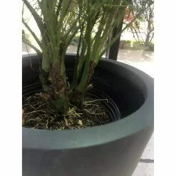 KANTE Medium 10 in. Tall Charcoal Lightweight Concrete Round Outdoor Bowl Planter -VIGORO Sales charcoal kante plant pots rc0051c c60121 44 1000