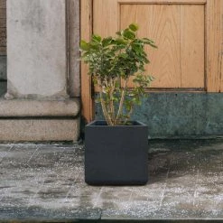 KANTE 11.81 x 11.81 in. Square Charcoal Lightweight Concrete and Weather Resistant Fiberglass Planter w/Drainage Hole -VIGORO Sales charcoal kante plant pots rf0221b c60121 44 1000