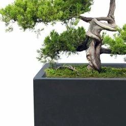 KANTE 31.4" & 23.6"L Rectangular Charcoal Finish Lightweight Concrete Long Planters w/Drainage Hole Set of 2, Outdoor/Indoor -VIGORO Sales charcoal kante plant pots rf0264ac c60121 4f 1000