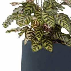 KANTE 10.63 in. x 13.78 in. Round Charcoal Lightweight Concrete and Weather Resistant Fiberglass Planter w/Drainage Hole -VIGORO Sales charcoal kante plant pots rf2015023c c60121 1f 1000