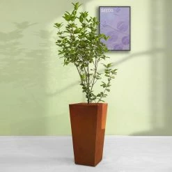 KANTE 24.4 in. H Rectangle Faux Weathering Steel Lightweight Concrete Tapered Tall Planter with Drainage Hole, Outdoor/Indoor -VIGORO Sales faux weathering steel kante plant pots rf0004c c91942 76 1000