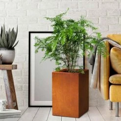 KANTE 16 in. H Faux Weathering Steel Finish Concrete Square, Modern Outdoor/Indoor Lightweight Planter Pot with Drainage Hole -VIGORO Sales faux weathering steel kante plant pots rf0007b c91942 76 1000