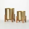 SULLIVANS Brass Planter On Stands - Set of 2 1 SULLIVANS Brass Planter On Stands - Set of 2 -VIGORO Sales gold sullivans plant pots n2715 64 1000