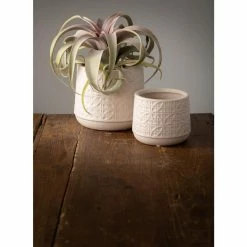 Vigoro sales Store -VIGORO Sales gray sullivans plant pots cm2943 c3 1000