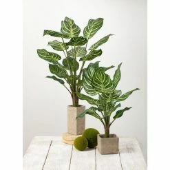 SULLIVANS Gray Cement Square Planter 8 SULLIVANS Gray Cement Square Planter -VIGORO Sales gray sullivans plant pots cmt1092 4f 1000