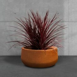 KANTE 16 in. Dia. Round Iron Oxide Concrete Bowl Planter, Outdoor Indoor Large Planter Pot with Drainage Hole -VIGORO Sales iron oxide kante plant pots rc0051b c80621 44 1000