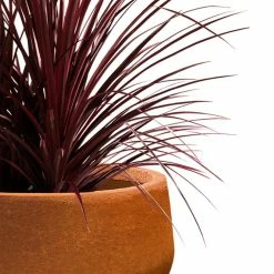KANTE 16 in. Dia. Round Iron Oxide Concrete Bowl Planter, Outdoor Indoor Large Planter Pot with Drainage Hole -VIGORO Sales iron oxide kante plant pots rc0051b c80621 fa 1000