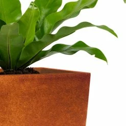 KANTE 28 in. H Iron Oxide Lightweight Concrete Tapered Planter with Drainage Hole, Large Outdoor/Indoor Tall Square Planter -VIGORO Sales iron oxide kante plant pots rf0229a s c80621 31 1000