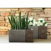 KANTE 31 in and 23 in. L Rectangular Lodgepole Concrete/Fiberglass Indoor Outdoor Elegant Long Planters (Set of 2) -VIGORO Sales lodgepole kante plant pots osf0219ab c81051 64 1000