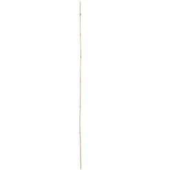 Vigoro 5 ft. Natural Bamboo Stake -VIGORO Sales natural bamboo beige vigoro tomato cages bb5vg 1f 1000