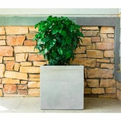 KANTE 15 in. W Square Natural Concrete/Fiberglass Indoor Outdoor Elegant Planter -VIGORO Sales natural concrete kante plant pots osf0128b c80021 76 1000