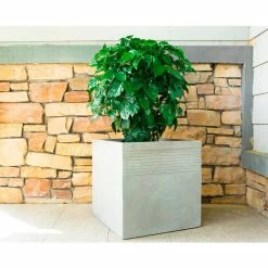 KANTE 15 in. W Square Natural Concrete/Fiberglass Indoor Outdoor Elegant Planter -VIGORO Sales natural concrete kante plant pots osf0128b c80021 fa 1000
