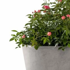 KANTE Large, Medium, Small Round Natural Finish Lightweight Concrete and Weather Resistant Fiberglass Planters (Set of 3) -VIGORO Sales natural concrete kante plant pots rc0154bcd c80021 1f 1000