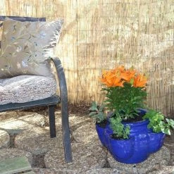 Vigoro 6 ft. H x 16 ft. W Natural Reed Garden Fencing Roll -VIGORO Sales natural vigoro garden fencing 0406164 44 1000