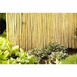 Vigoro 4 ft. H x 6 ft. W Natural Bamboo Fence -VIGORO Sales natural vigoro garden fencing 4477405 c3 1000