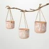 SULLIVANS Terracotta Herb Hanging Ceramic Planters - Set of 3 -VIGORO Sales orange sullivans plant pots cm3008 64 1000