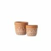 SULLIVANS Orange Cement Planter (Set of 2) -VIGORO Sales orange sullivans plant pots cmt1180 64 1000