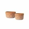SULLIVANS Orange Cement Dish Garden Pot (Set of 2) 1 SULLIVANS Orange Cement Dish Garden Pot (Set of 2) -VIGORO Sales orange sullivans plant pots cmt1181 64 1000