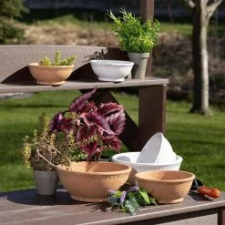 SULLIVANS Adobe Cement Dish Planter - Set of 3 -VIGORO Sales orange sullivans plant pots cmt1218 4f 1000