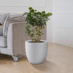 KANTE 13.39 in. x 12.6 in. Round Pure White Lightweight Concrete and Fiberglass Indoor Outdoor Planter with Drainage Hole 13 KANTE 13.39 in. x 12.6 in. Round Pure White Lightweight Concrete and Fiberglass Indoor Outdoor Planter with Drainage Hole -VIGORO Sales pure white kante plant pots rc0152b c80011 44 1000