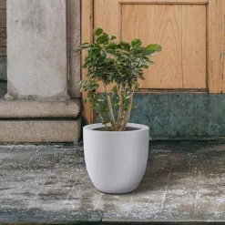 KANTE 13.39 in. x 12.6 in. Round Pure White Lightweight Concrete and Fiberglass Indoor Outdoor Planter with Drainage Hole 14 KANTE 13.39 in. x 12.6 in. Round Pure White Lightweight Concrete and Fiberglass Indoor Outdoor Planter with Drainage Hole -VIGORO Sales pure white kante plant pots rc0152b c80011 fa 1000