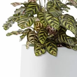 KANTE 17.3 in. H Round Pure White Concrete Planter, Outdoor Indoor Large Planter Pots Containers with Drainage Holes -VIGORO Sales pure white kante plant pots rf2015022b c80011 4f 1000