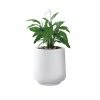 KANTE 17.3 in. H Round Pure White Concrete Planter, Outdoor Indoor Large Planter Pots Containers with Drainage Holes -VIGORO Sales pure white kante plant pots rf2015022b c80011 64 1000