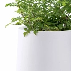 KANTE 13.4 in. H Pure White Tuliped Round Concrete Planter, Outdoor Indoor Large Planter Pots, Containers with Drainage Holes -VIGORO Sales pure white kante plant pots rf2015022c c80011 44 1000