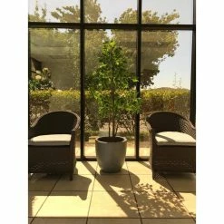 KANTE 10 in. W Round Slate Gray Concrete/Fiberglass Indoor Outdoor Elegant Planter -VIGORO Sales slate gray kante plant pots osc0050a c60611 76 1000