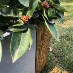 KANTE 31 in. L Rectangular Timber Ridge Concrete/Fiberglass Indoor Outdoor Elegant Long Planter -VIGORO Sales timber ridge kante plant pots osf0219b c80811 66 1000