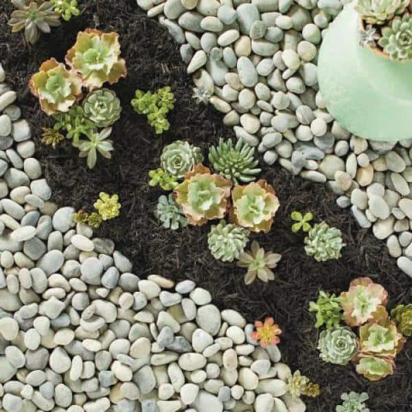 Vigoro 0.4 cu. ft. Bagged Mexican Beach Pebble Landscape Rock 4 Vigoro 0.4 cu. ft. Bagged Mexican Beach Pebble Landscape Rock - Image 2