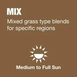 Vigoro 3 lbs. Fast Grass Seed Mix -VIGORO Sales vigoro grass seed 25102 a0 1000