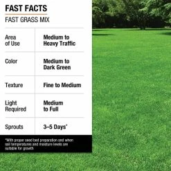 Vigoro 3 lbs. Fast Grass Seed Mix -VIGORO Sales vigoro grass seed 25102 fa 1000