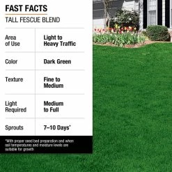 Vigoro 20 lbs. Tall Fescue Grass Seed Blend with Water Saver Seed Coating -VIGORO Sales vigoro grass seed 25686 fa 1000