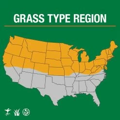 Vigoro 3 lbs. Dense Shade Grass Seed Mix with Water Saver Seed Coating -VIGORO Sales vigoro grass seed 25689 66 1000