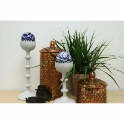 Vigoro 6 in. Grower's Choice Dracaena Indoor Plant in Small White Ribbed Plastic Decor Planter (2-Pack) -VIGORO Sales vigoro indoor plants co jc06 3 vi wh c3 1000