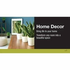 Vigoro 6 in. Neanthebella Palm Indoor Plant in Small White Ribbed Plastic Decor Planter (2-Pack) -VIGORO Sales vigoro indoor plants co np07 3 vi wh 40 1000