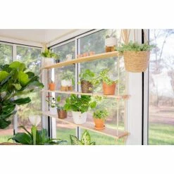 Vigoro 6 in. Golden Pothos Indoor Plant in Small White Ribbed Plastic Decor Planter (2-Pack) -VIGORO Sales vigoro indoor plants co poth 3 vi wh 1f 1000