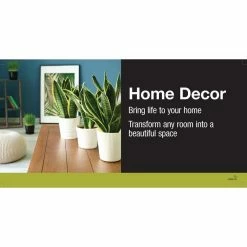 Vigoro 6 in. Golden Pothos Indoor Plant in Small White Ribbed Plastic Decor Planter (2-Pack) -VIGORO Sales vigoro indoor plants co poth 3 vi wh 40 1000